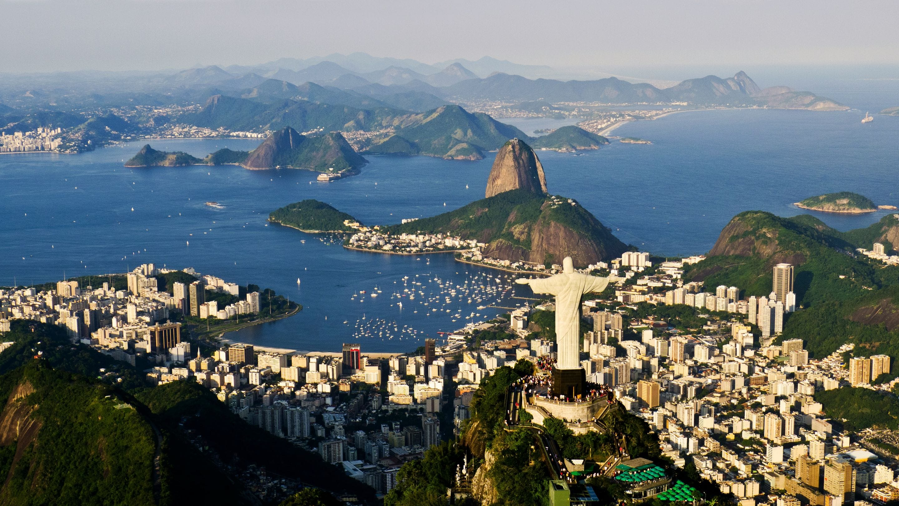 hammer-analysis-the-untapped-potential-of-the-brazilian-dairy-sector
