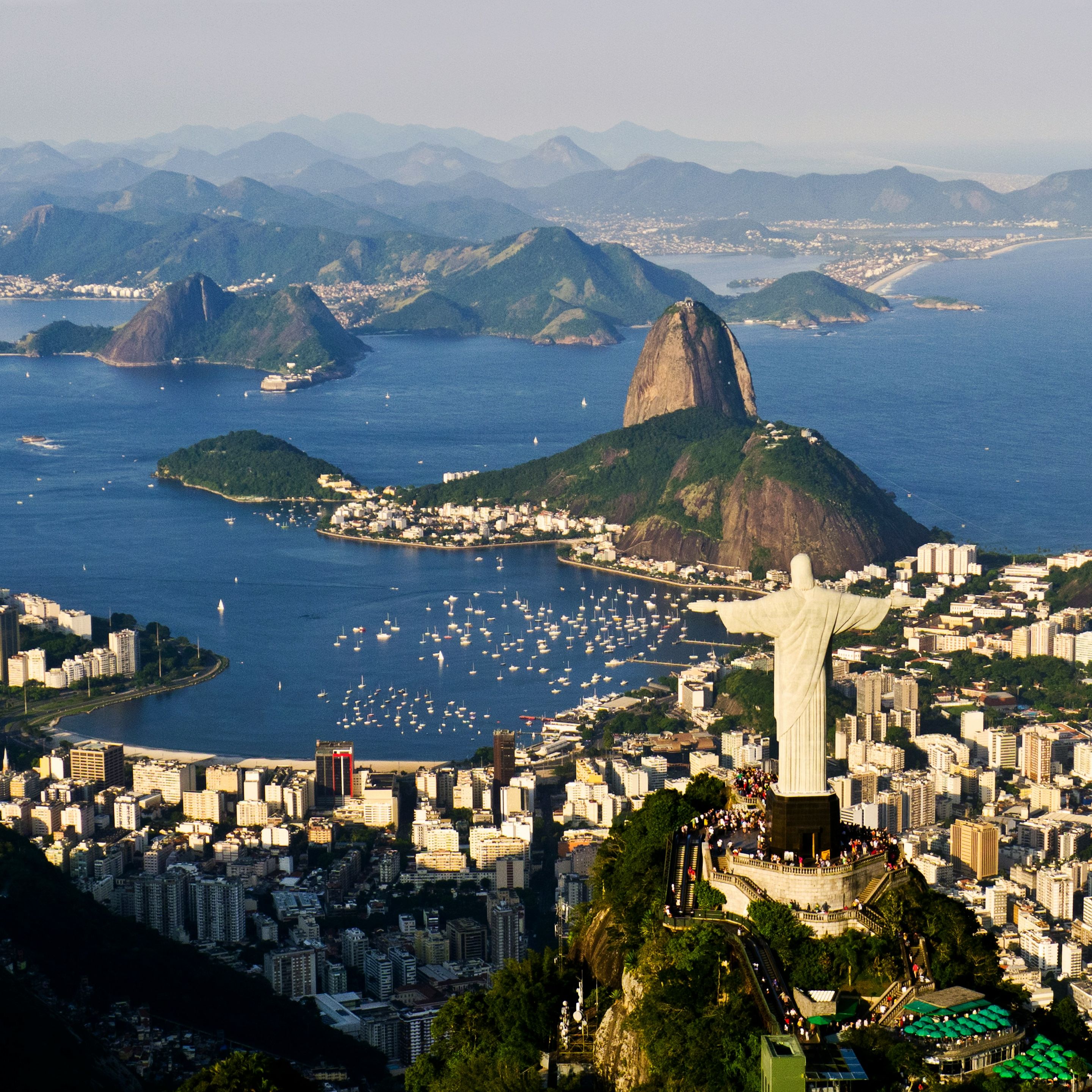 hammer-analysis-the-untapped-potential-of-the-brazilian-dairy-sector