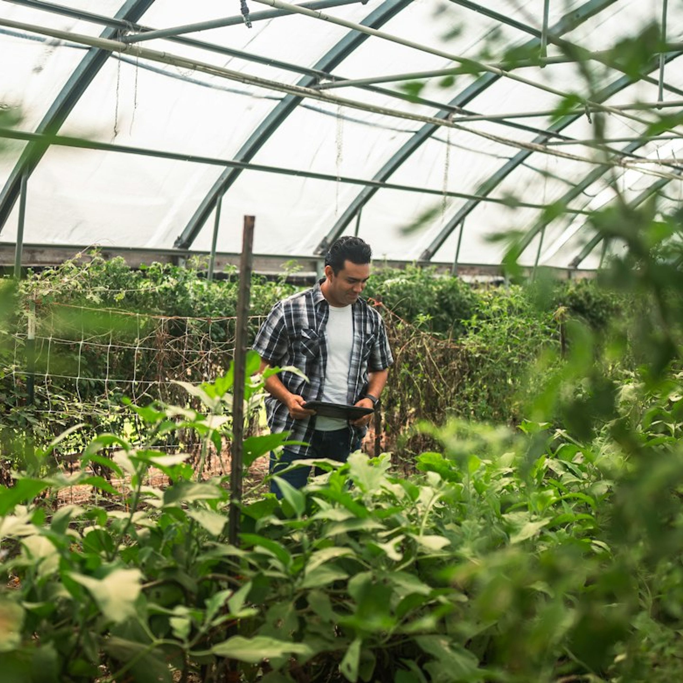Horticulture greenhouse