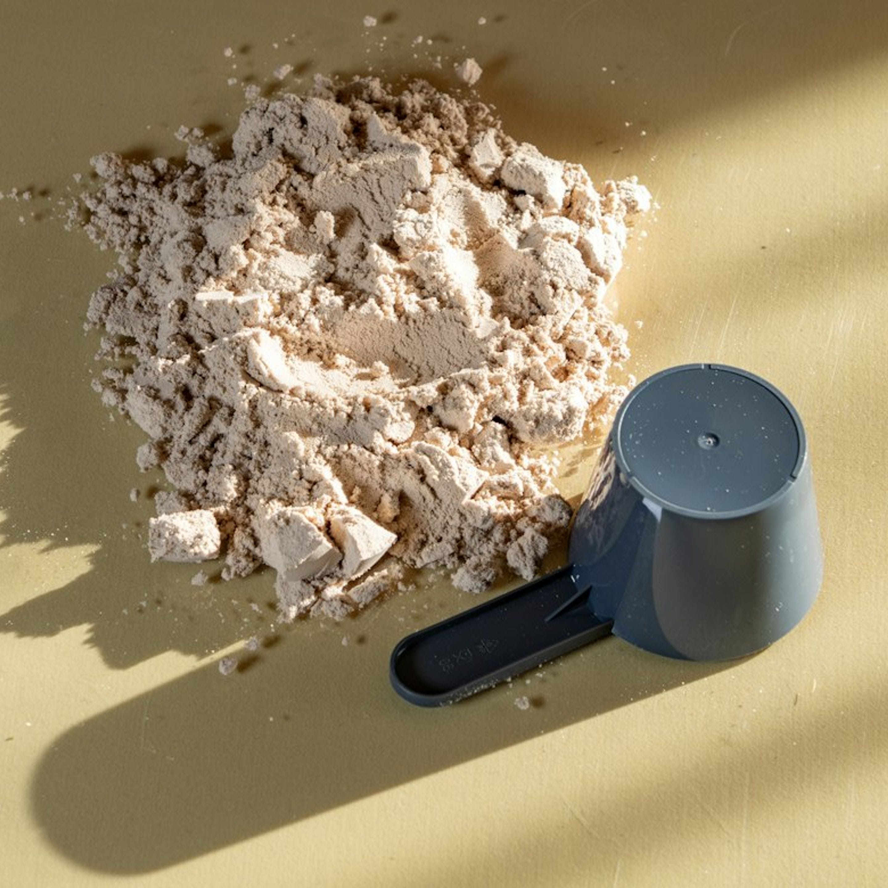 Protein powder