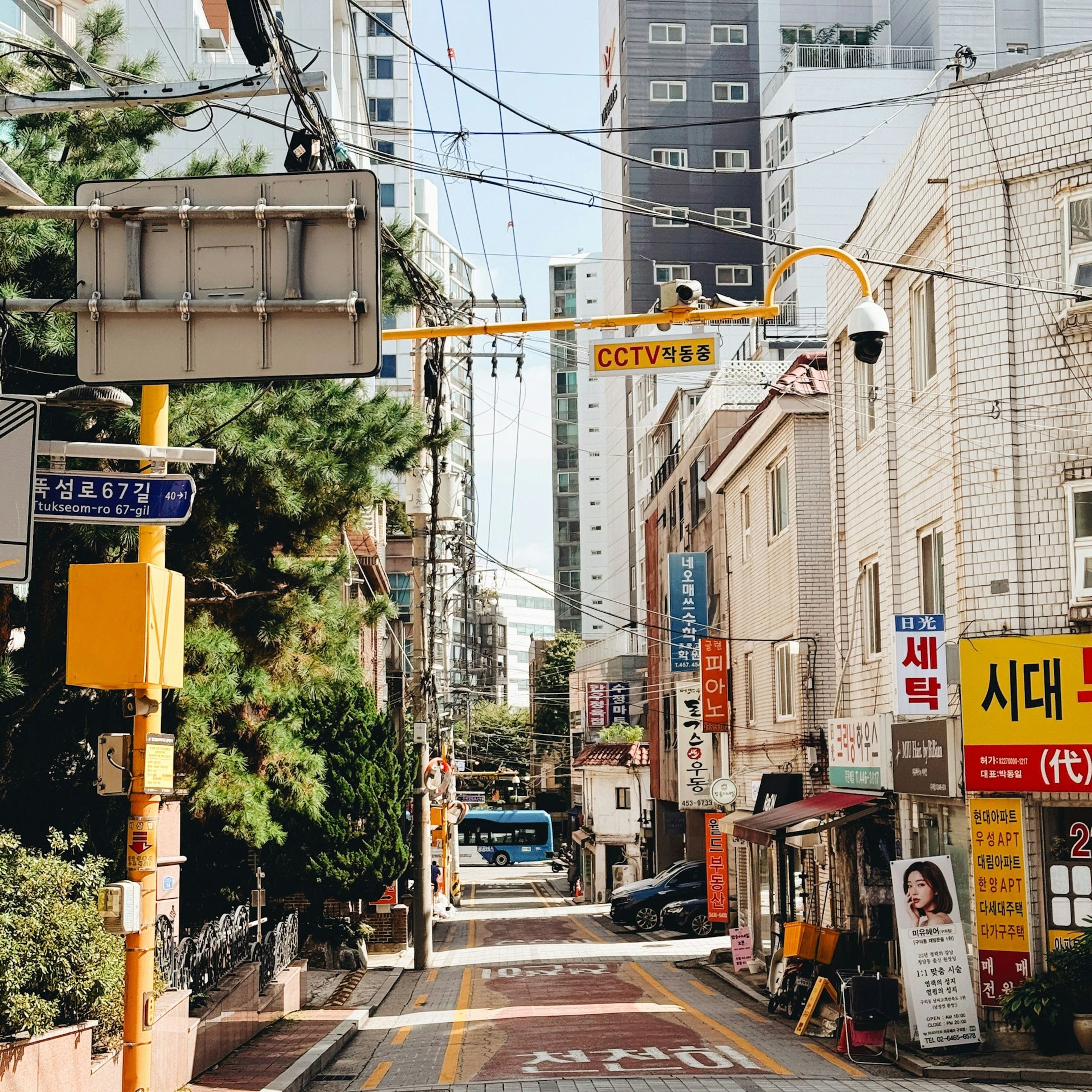 Brands in city