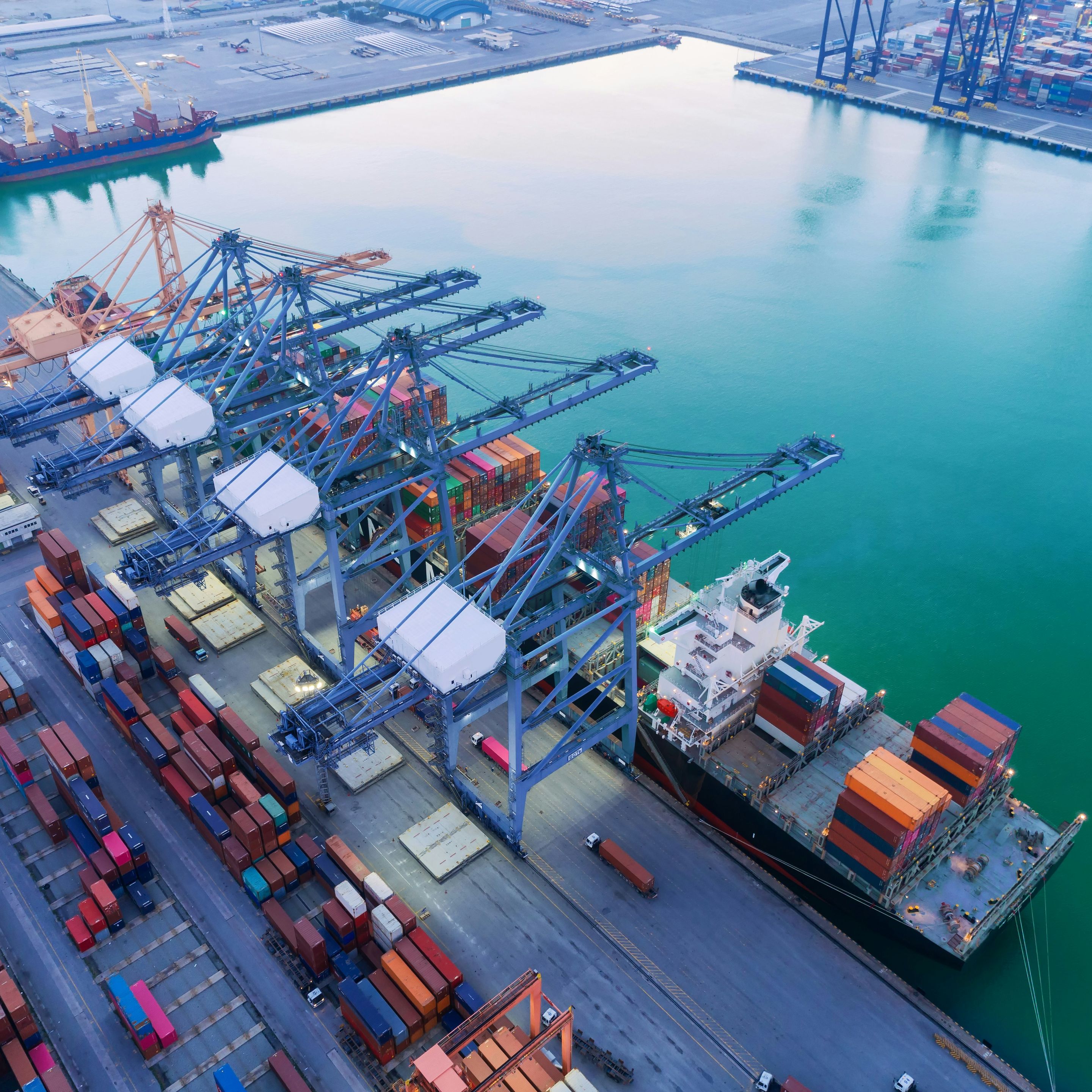 Which products and services will prosper in the New Normal?